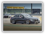 icar191